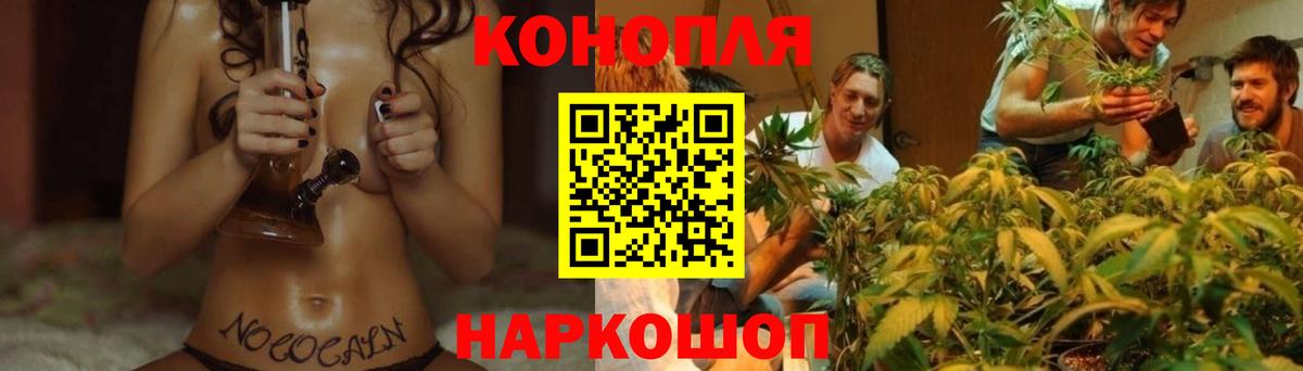 Бошки Шишки план Урюпинск